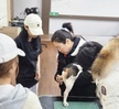 <10주차>반려견기초훈련