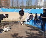 반려동물교정학 수업