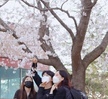  Sister&Brother 벚꽃 사진 대회(2021.04.09)