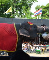 해외현장견학(SAP)7