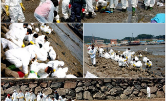 남간대 태안봉사활동 